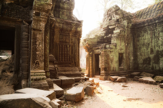 Cambodia, Angkor, Ta Prohm temple, Tomb Raider film location