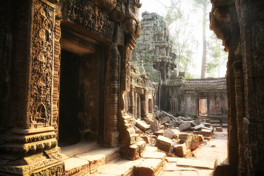 Cambodia, Angkor, Ta Prohm temple, Tomb Raider film location