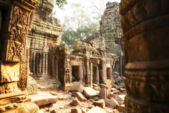 Cambodia, Angkor, Ta Prohm temple, Tomb Raider film location