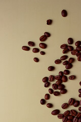 coffee beans espresso aroma caffeine cafe roast cappucino beverage barista service ingredient latte