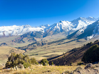 Panoramic view of snow-covered mountain ranges in Kyrgyzstan under a clear blue sky, with green valleys and autumn forests at the foothills