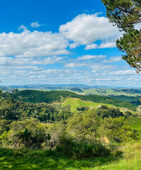 Obraz premium Rolling Lush Green Hills Under a Clear Blue Sky