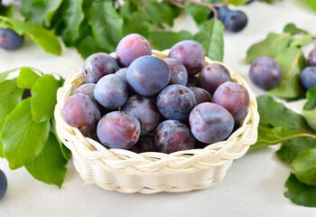 Fresh plums in the basket