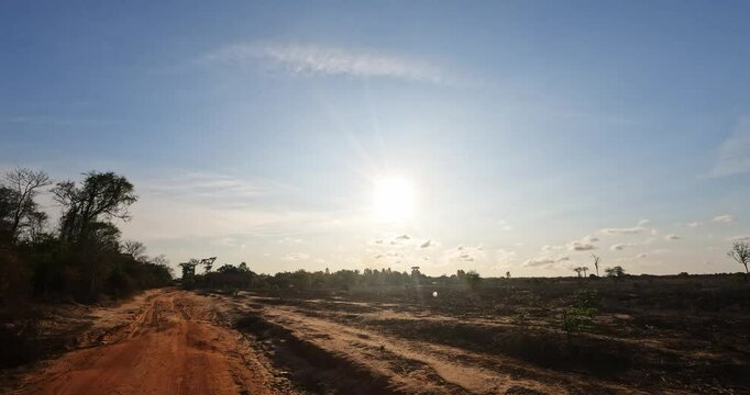 Scenic car drives through the sunset in Madagascar, passing baobab trees on the way from Kirindy to Kivalo