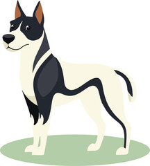 A Catton dog standing flat  illustration on transparent background.
