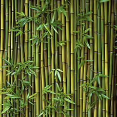 Bamboo background