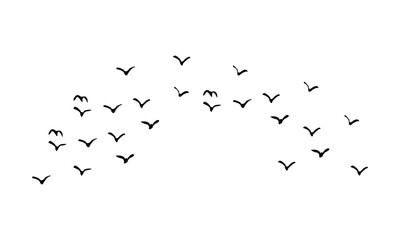 Birds Are Flying Silhouette Design. 