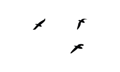 Birds Are Flying Silhouette Design. 