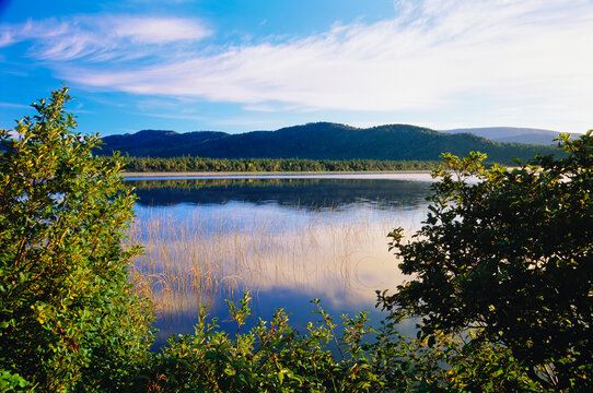 Beautiful landscape along the Newfoundland coast at Norris Point; Newfoundland and Labrador, Canada
