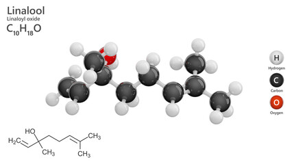 Molecule: Linalool. Terpene alcohol. Molecular structure. Formula: C10H18O. Chemical model: Ball and stick. White background. 3D illustration.