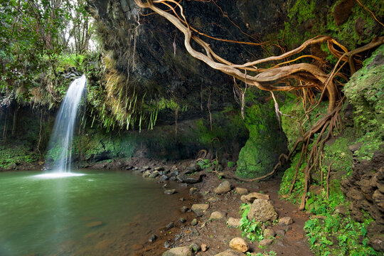 Twin Falls along Hana Highway, Maui, Hawaii, USA; Maui, Hawaii, United States of America