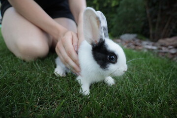 Woman playing with a small rabbit