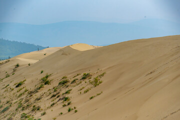 Golden desert dunes illuminated by sunbeams under a dramatic sky