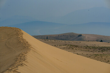 Golden desert dunes illuminated by sunbeams under a dramatic sky