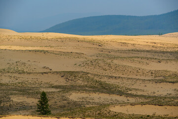 View of a sandy plateau surrounded by forest and mountains