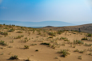 Golden desert dunes illuminated by sunbeams under a dramatic sky
