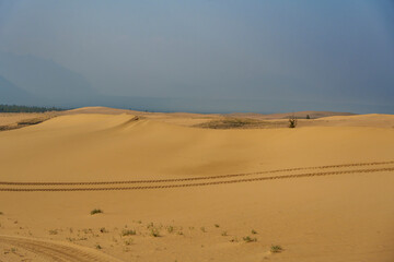 Golden desert dunes illuminated by sunbeams under a dramatic sky