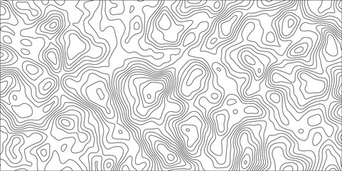 Layered Topographic Contour Vector Design: Organic Waves and Geometric Lines Form a Minimalist Background with a Subtle, Geographic Feel. Monochrome Topographic Vector Pattern: Seamless Contour Lines.