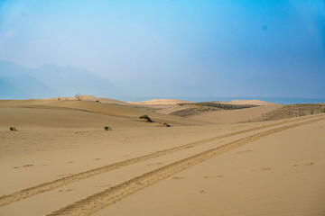 Golden desert dunes illuminated by sunbeams under a dramatic sky