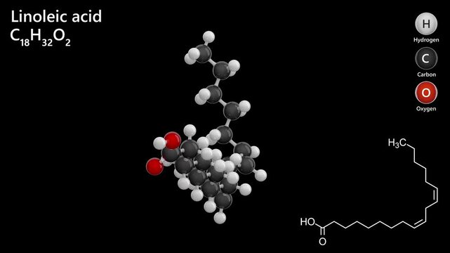 Linoleic Acid. Polyunsaturated fatty acid. Animated 3D model of a molecule. Molecular formula: C18H32O2. Chemical model: Ball and stick. Black background. 3D rendering. Seamless loop.