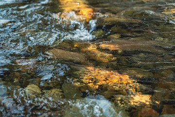 Close-up of flowing water over rocky streambed