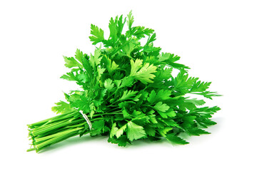 Fresh green parsley bunch on white background.