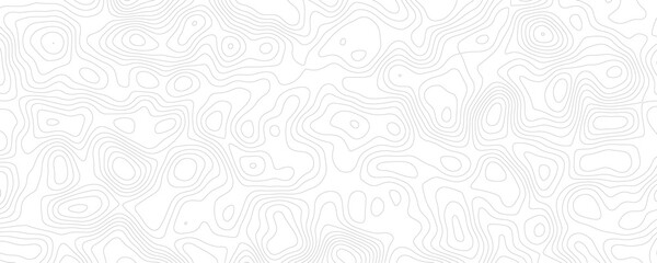 Minimal Topographic Line Art Pattern, Monochrome Background for Versatile Applications
