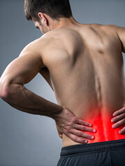 Muscular Back Pain Relief Mockup - Sports Medicine Anatomy Illustration