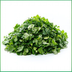 Obraz premium Cilantro Isolated