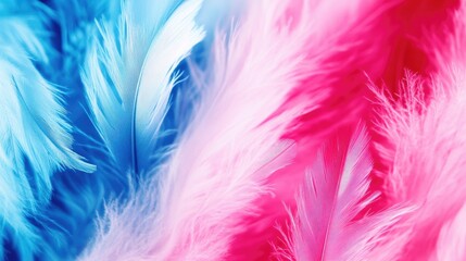 Obraz premium Close up macro of soft fluffy feathers in blue and pink pastel hues against a white background creating an abstract gentle natural aesthetic with a soft focus