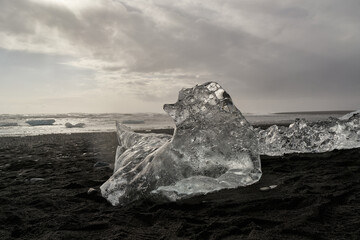 Large iceberg melting on black sand beach in iceland