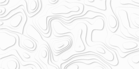 Abstract White paper cut background with lines. white line drawing geometric paper art design. 3d papercut decoration textured with wavy layers. 3d realistic design used for banner, posters. line maps