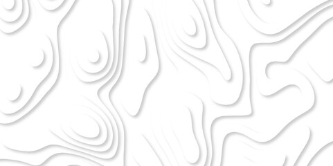 Abstract White paper cut background with lines. white line drawing geometric paper art design. 3d papercut decoration textured with wavy layers. 3d realistic design used for banner, posters. line maps