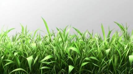 Fototapeta premium Lush Green Grass Background