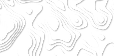 Fototapeta premium Abstract White paper cut background with lines. white line drawing geometric paper art design. 3d papercut decoration textured with wavy layers. 3d realistic design used for banner, posters. line maps
