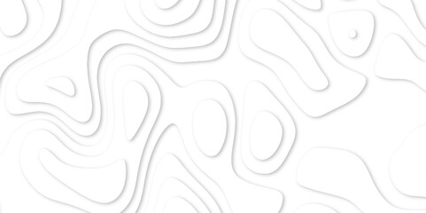 Abstract White paper cut background with lines. white line drawing geometric paper art design. 3d papercut decoration textured with wavy layers. 3d realistic design used for banner, posters. line maps
