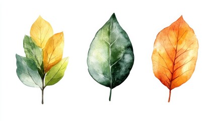 Obraz premium Watercolor Leaves Artwork
