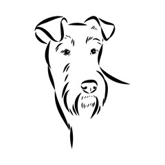 Dog . Vector silhouette of dog. Irish terrier, vector sketch