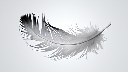 Fototapeta premium a feather falling gently