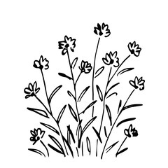 Flowering bush, small flowers on a stem, bouquet. Simple vector drawing with black outline. Nature and vegetation. Sketch in ink.