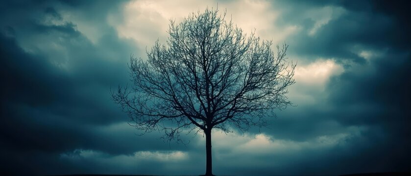 Lonely tree silhouette against a dark stormy sky, dramatic and contemplative atmosphere.