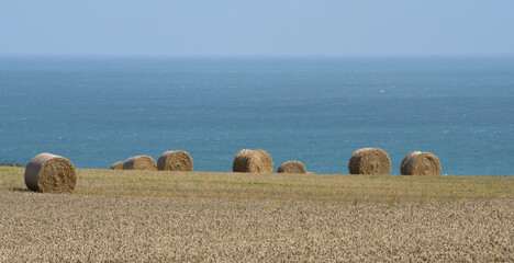 Normandy beaches are known for Operation Overlord and D-Day. Muted colors and immense beaches for...