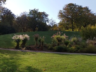 autumn landscape in Munich Germany