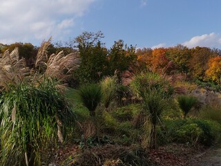 autumn landscape in Munich Germany