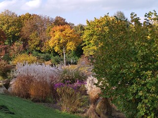 autumn landscape in Munich Germany