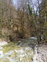 green mountain river in cold winter sun