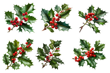 Festive Holly Leaf and Berry Set