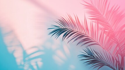 Palm leaves creating shadows against a soft pastel backdrop of pink and blue