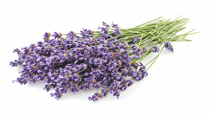 A bunch of lavender flowers arranged neatly, showcasing their beauty and fragrance.