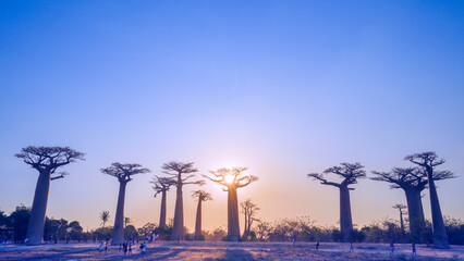 Morondava, Madagascar - August 26, 2024: Tourists and locals gather to take photos or play around...